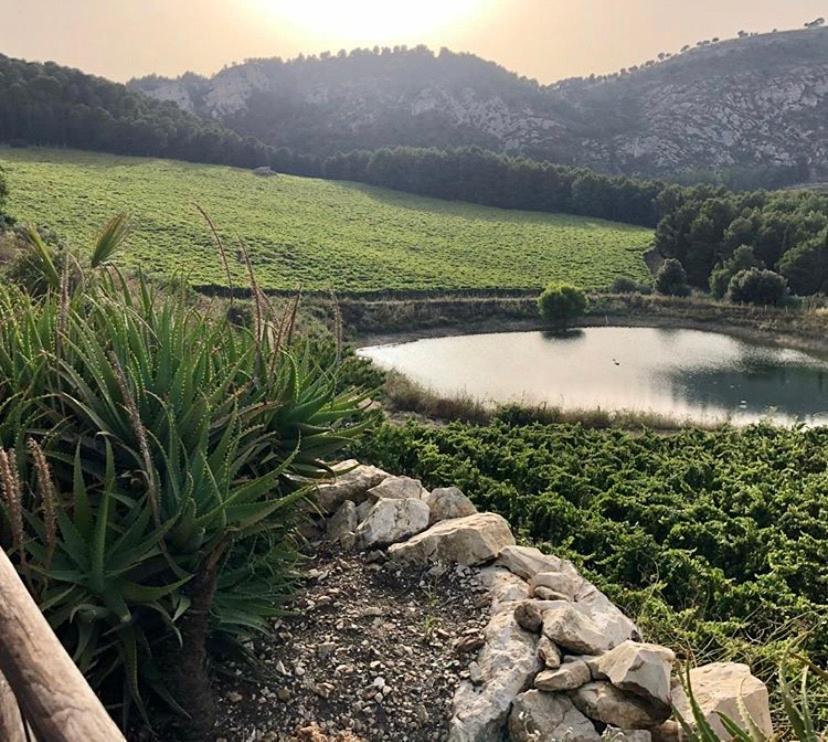 Agriturismo Tenute Pispisa Segesta Калатафими Екстериор снимка
