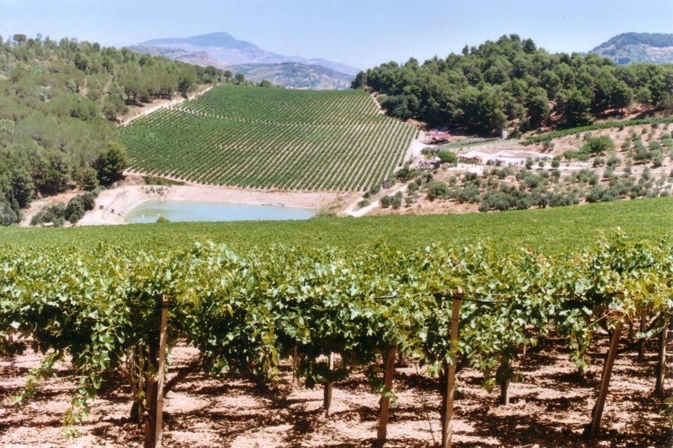 Agriturismo Tenute Pispisa Segesta Калатафими Екстериор снимка