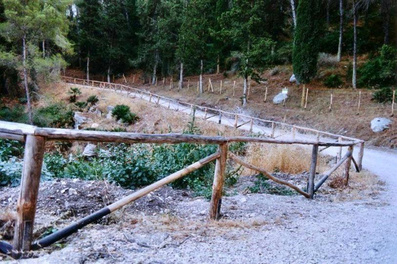 Agriturismo Tenute Pispisa Segesta Калатафими Екстериор снимка