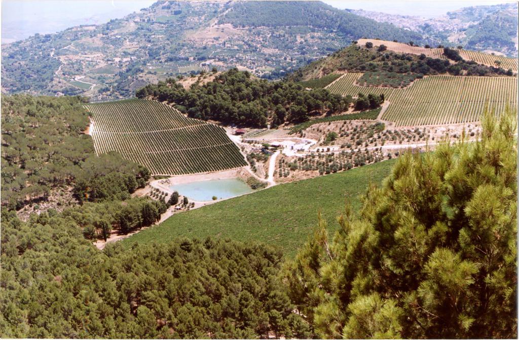Agriturismo Tenute Pispisa Segesta Калатафими Екстериор снимка