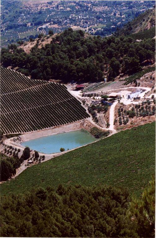 Agriturismo Tenute Pispisa Segesta Калатафими Екстериор снимка