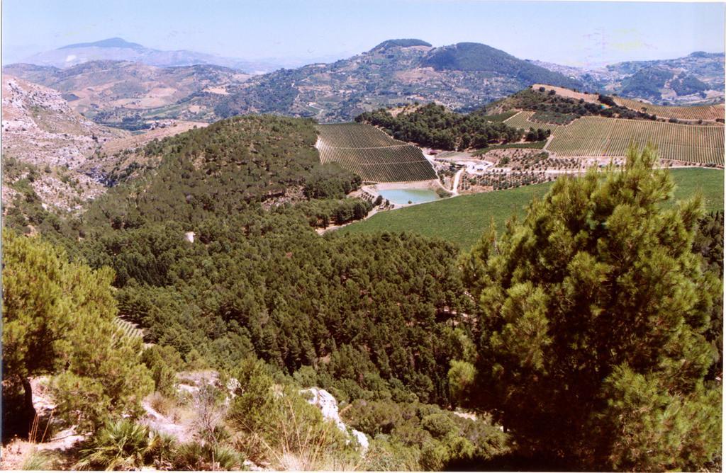 Agriturismo Tenute Pispisa Segesta Калатафими Екстериор снимка