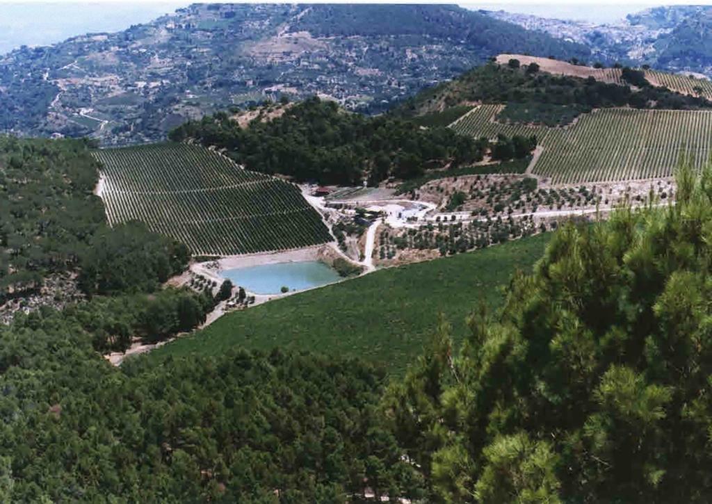 Agriturismo Tenute Pispisa Segesta Калатафими Екстериор снимка